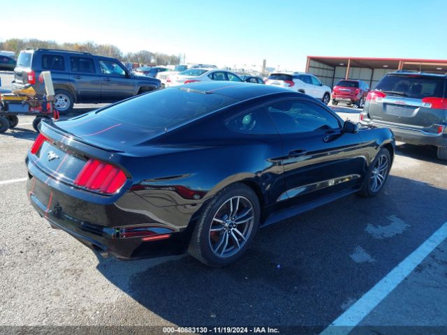 Photo 3 VIN: 1FA6P8TH8H5265842 - FORD MUSTANG 