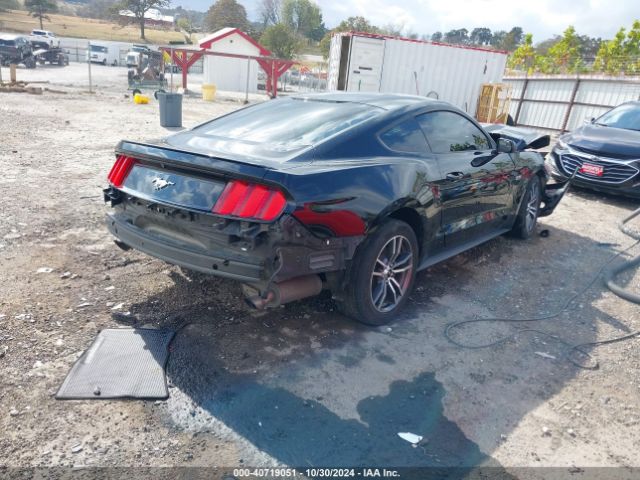 Photo 3 VIN: 1FA6P8TH8H5270569 - FORD MUSTANG 