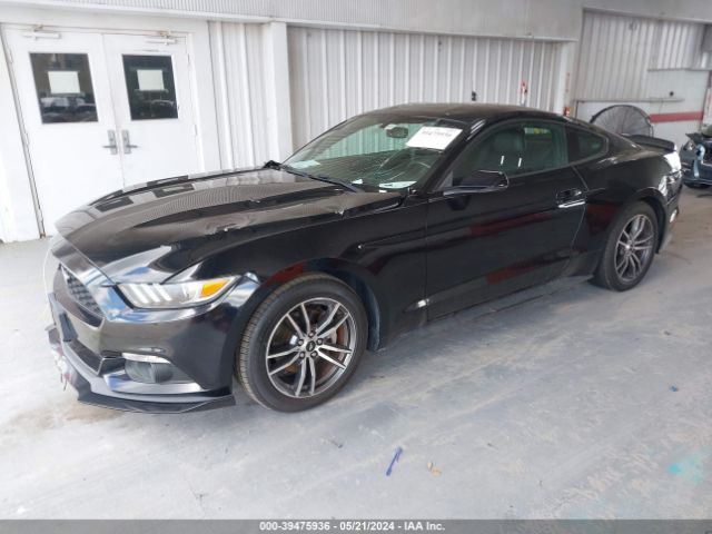 Photo 1 VIN: 1FA6P8TH8H5281846 - FORD MUSTANG 