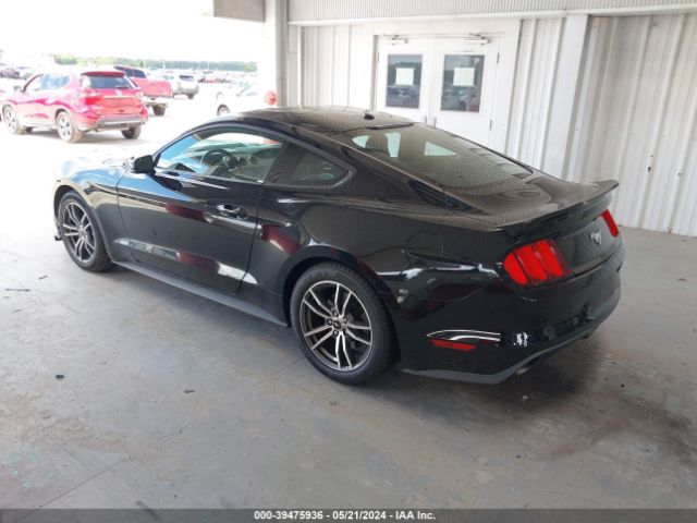 Photo 2 VIN: 1FA6P8TH8H5281846 - FORD MUSTANG 