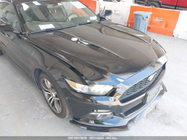 Photo 5 VIN: 1FA6P8TH8H5281846 - FORD MUSTANG 