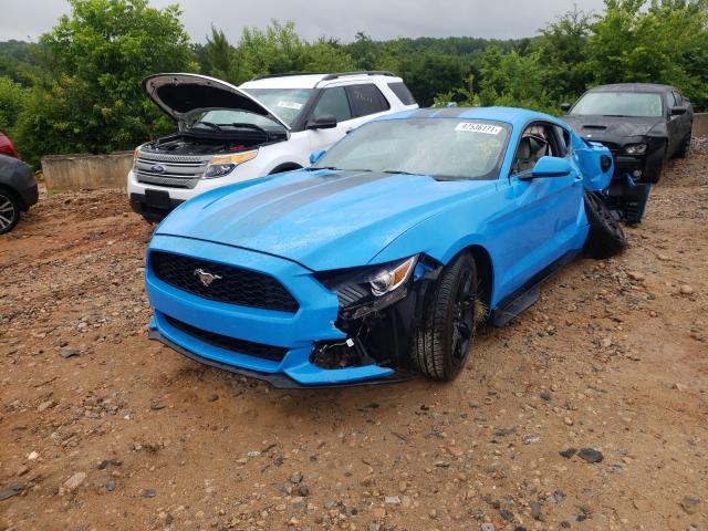 Photo 1 VIN: 1FA6P8TH8H5317549 - FORD MUSTANG 