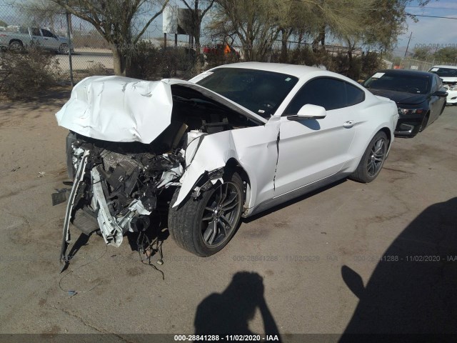 Photo 1 VIN: 1FA6P8TH8H5334030 - FORD MUSTANG 