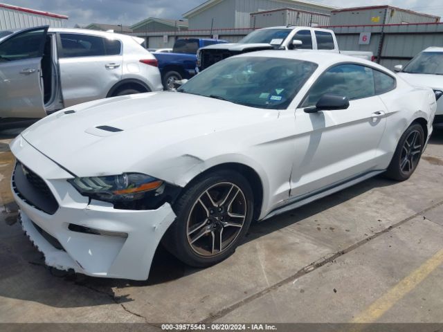 Photo 1 VIN: 1FA6P8TH8J5115588 - FORD MUSTANG 