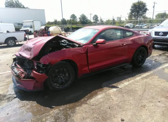 Photo 1 VIN: 1FA6P8TH8J5116398 - FORD MUSTANG 