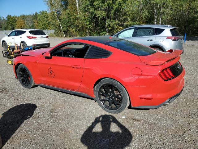 Photo 1 VIN: 1FA6P8TH8K5102812 - FORD MUSTANG 