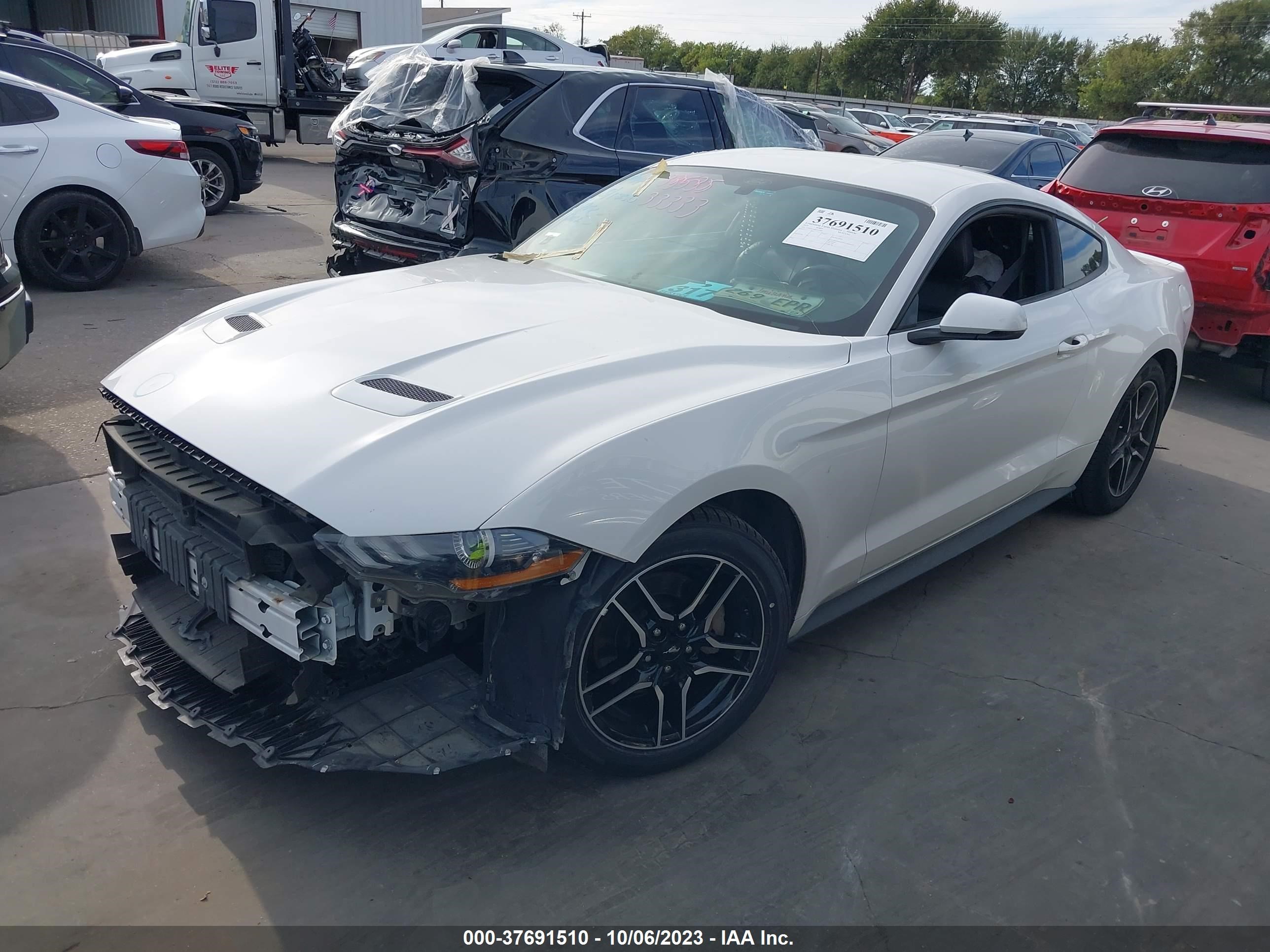 Photo 1 VIN: 1FA6P8TH8K5122087 - FORD MUSTANG 