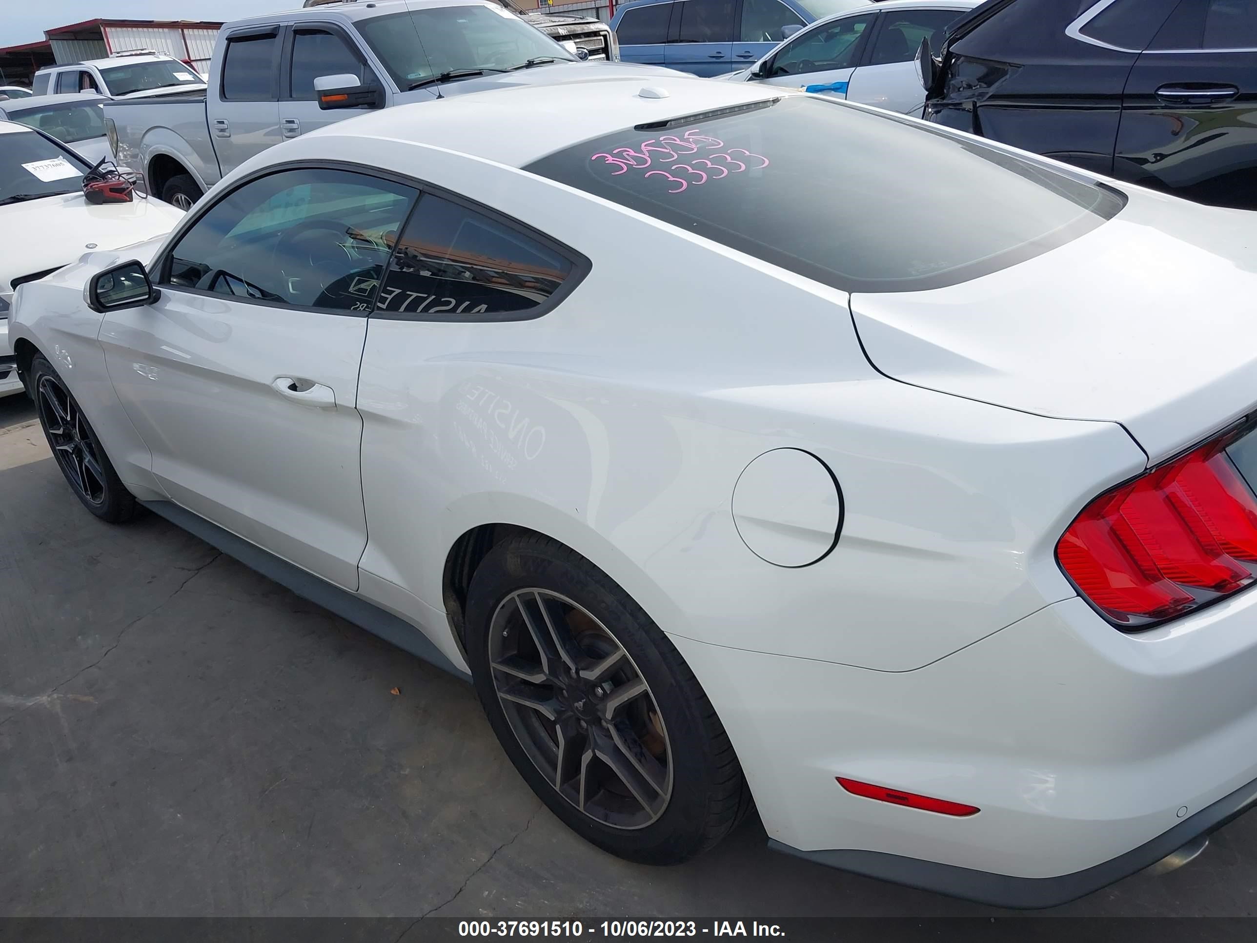 Photo 13 VIN: 1FA6P8TH8K5122087 - FORD MUSTANG 