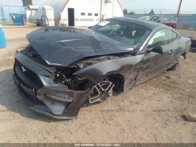 Photo 1 VIN: 1FA6P8TH8K5135082 - FORD MUSTANG 