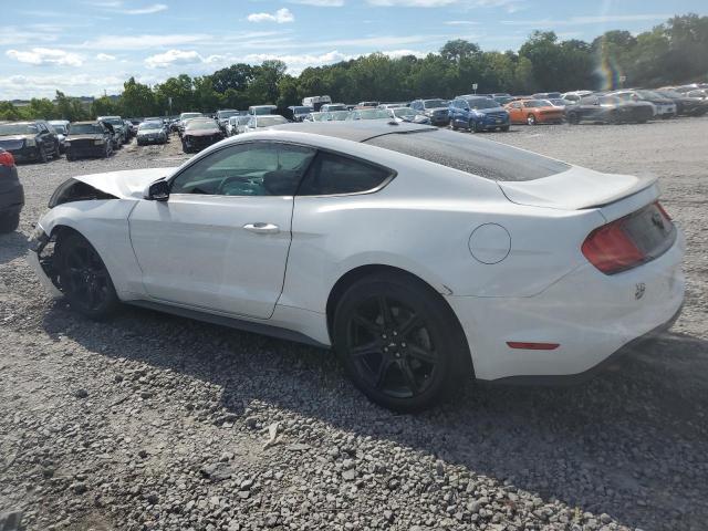 Photo 1 VIN: 1FA6P8TH8K5167353 - FORD MUSTANG 