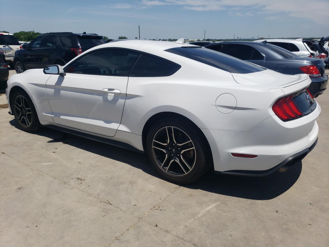 Photo 1 VIN: 1FA6P8TH8L5181481 - FORD MUSTANG 