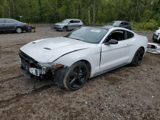 Photo 0 VIN: 1FA6P8TH8M5126529 - FORD MUSTANG 