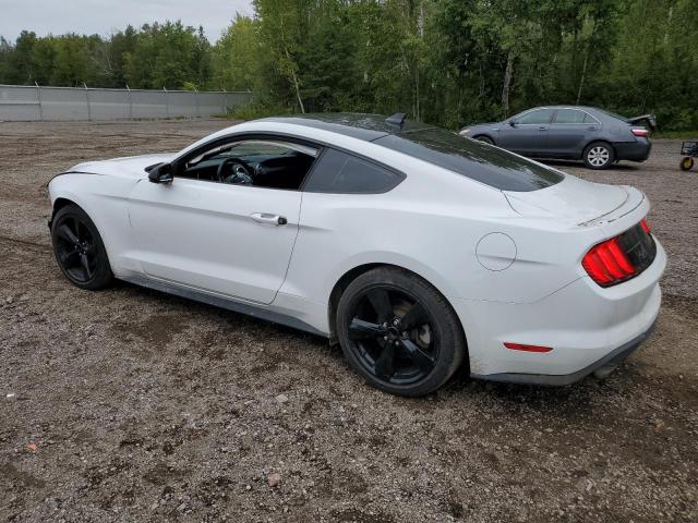 Photo 1 VIN: 1FA6P8TH8M5126529 - FORD MUSTANG 