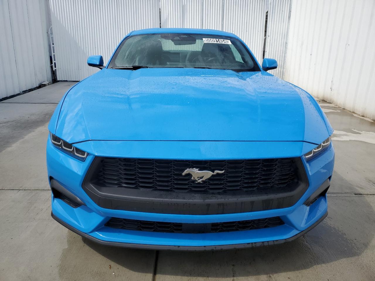 Photo 4 VIN: 1FA6P8TH8R5126618 - FORD MUSTANG 