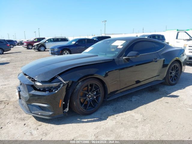 Photo 1 VIN: 1FA6P8TH8R5129647 - FORD MUSTANG 