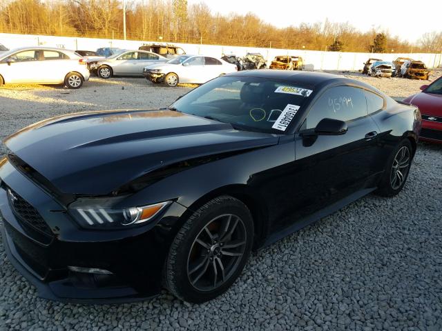 Photo 1 VIN: 1FA6P8TH9F5316648 - FORD MUSTANG 