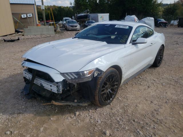 Photo 1 VIN: 1FA6P8TH9F5347026 - FORD MUSTANG 