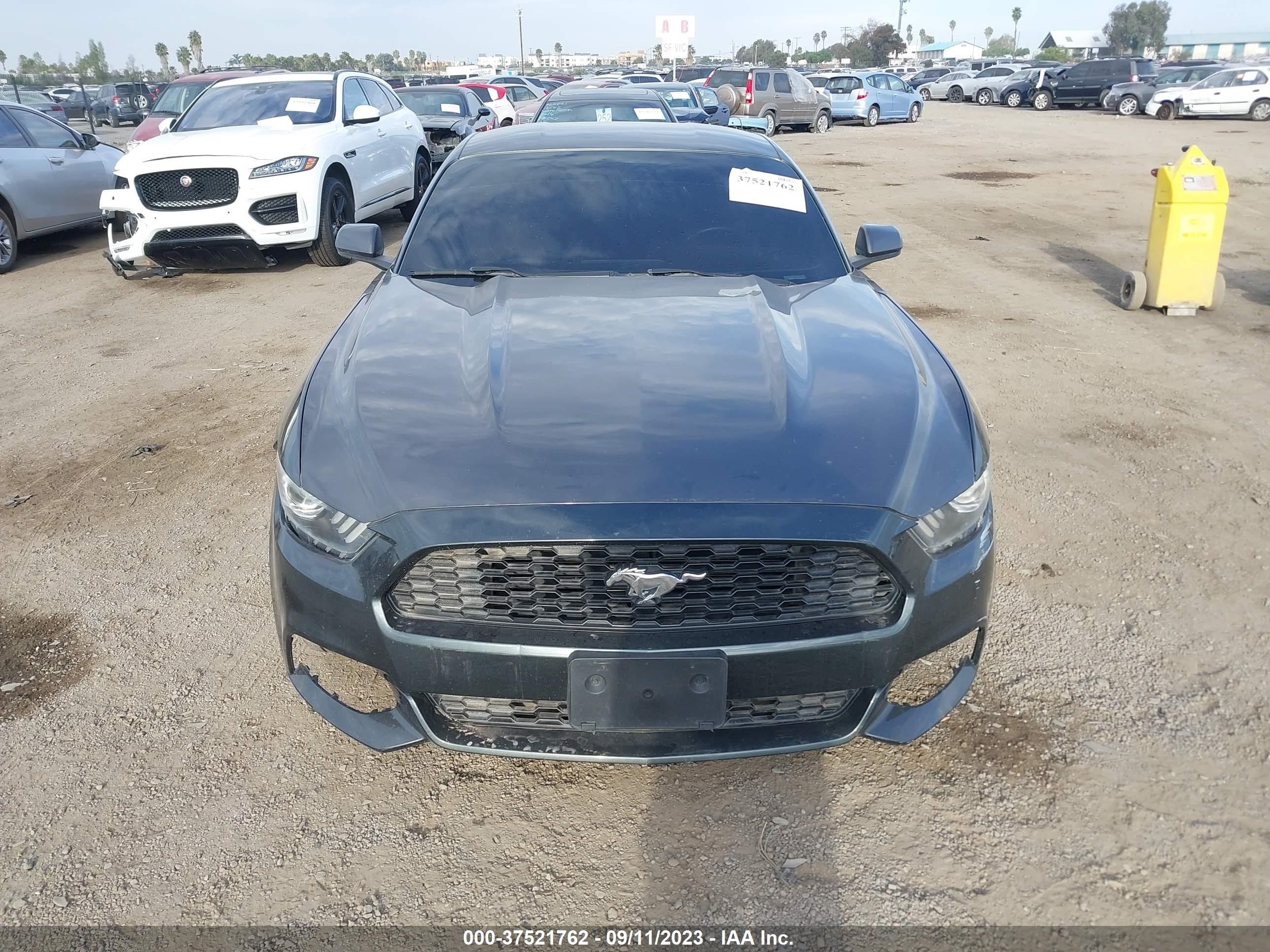 Photo 10 VIN: 1FA6P8TH9F5355871 - FORD MUSTANG 