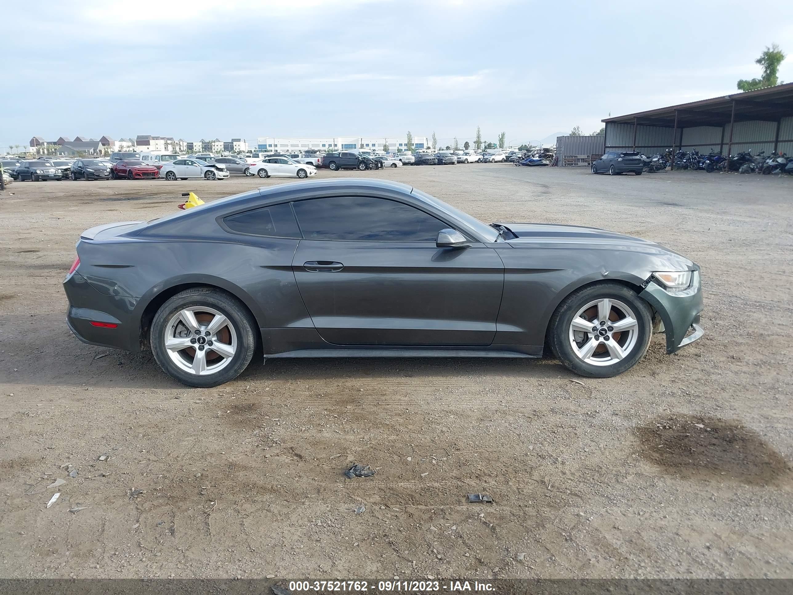 Photo 11 VIN: 1FA6P8TH9F5355871 - FORD MUSTANG 