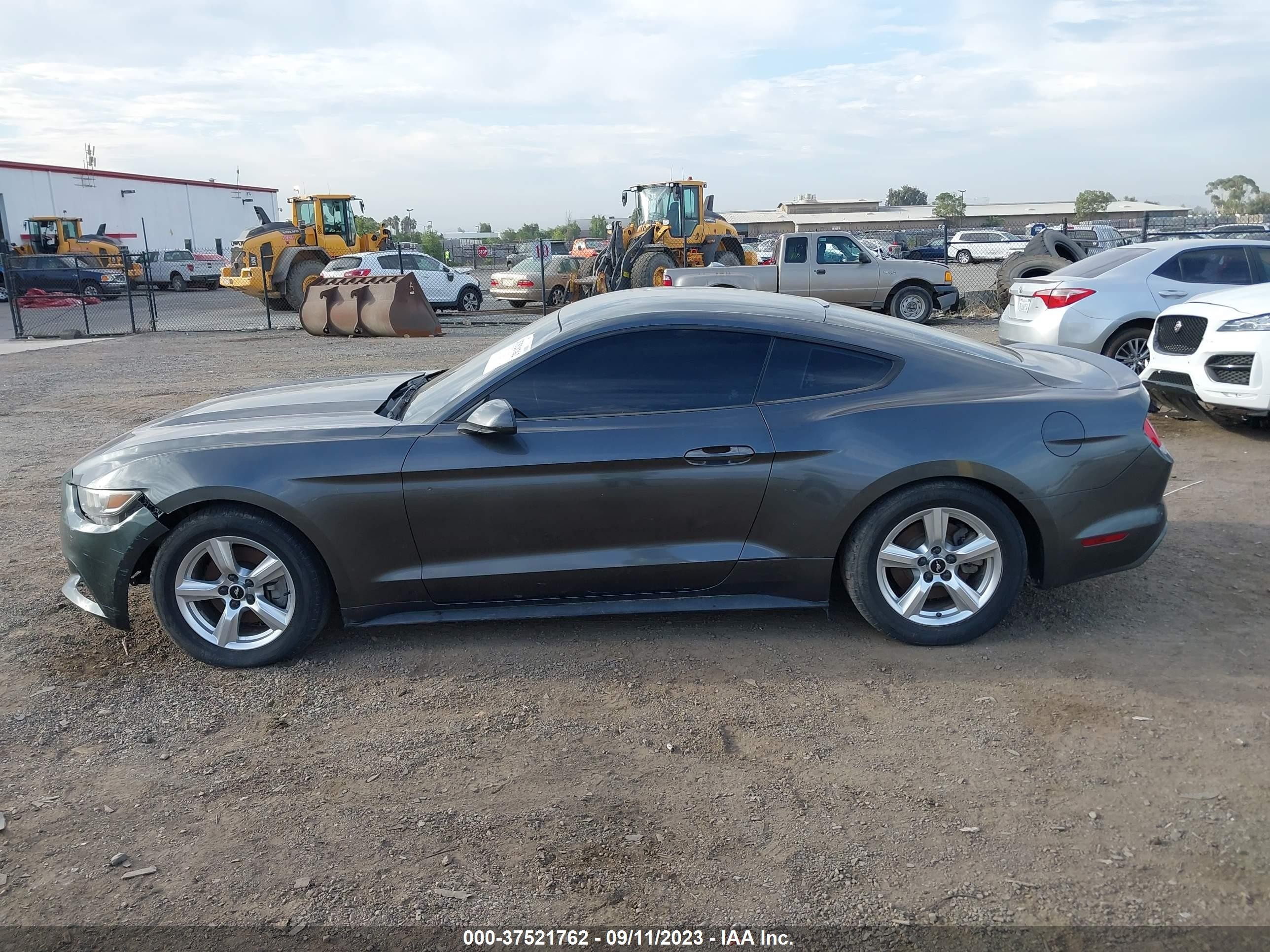 Photo 12 VIN: 1FA6P8TH9F5355871 - FORD MUSTANG 