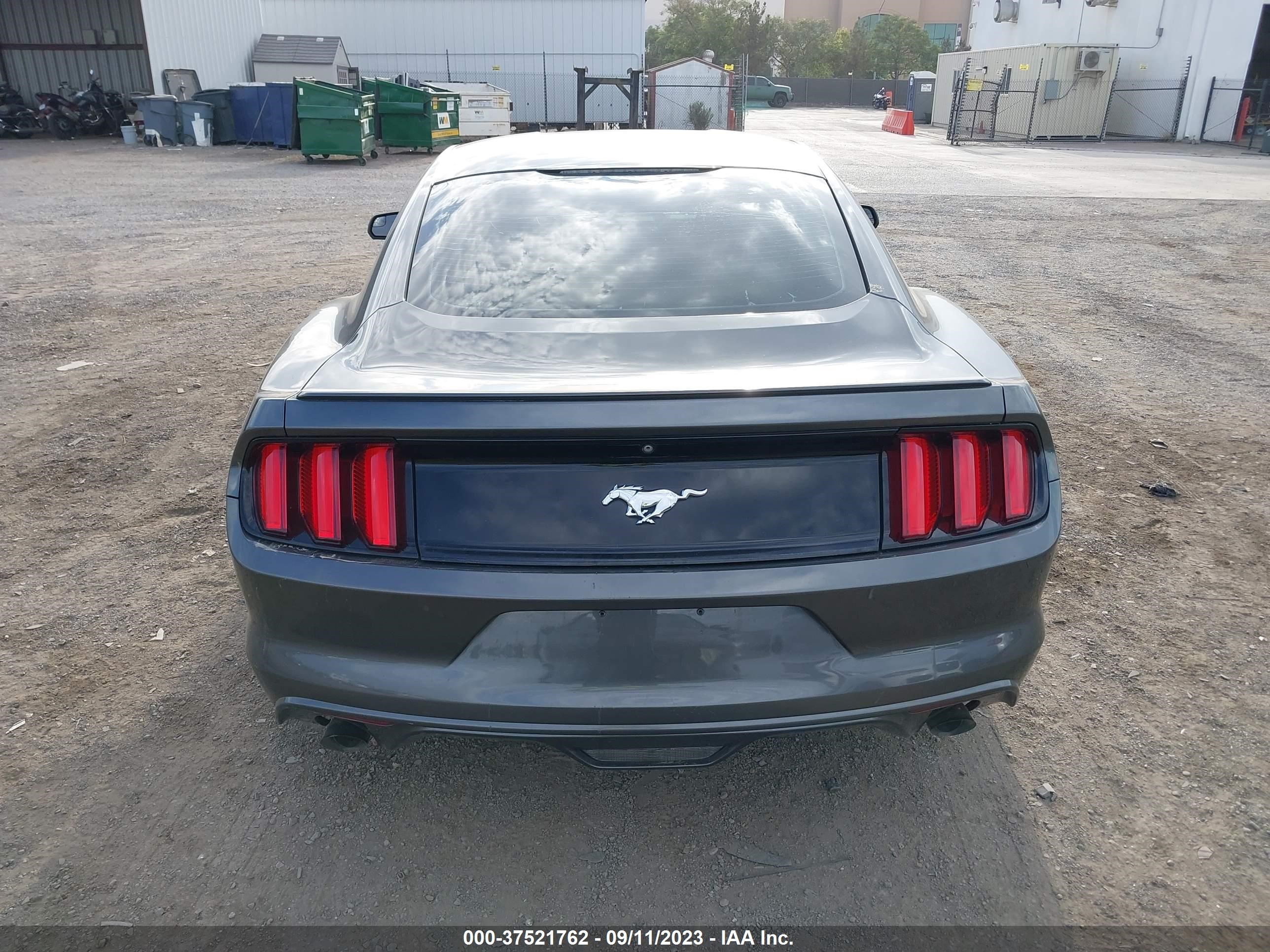 Photo 14 VIN: 1FA6P8TH9F5355871 - FORD MUSTANG 