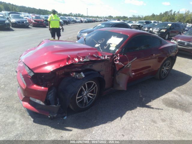 Photo 1 VIN: 1FA6P8TH9F5362058 - FORD MUSTANG 