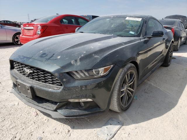 Photo 1 VIN: 1FA6P8TH9F5362531 - FORD MUSTANG 