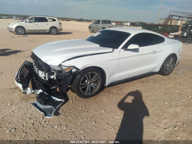 Photo 1 VIN: 1FA6P8TH9F5362738 - FORD MUSTANG 