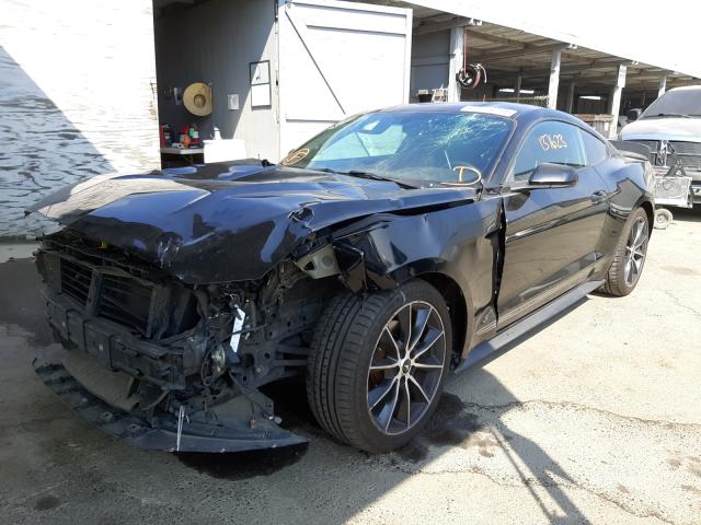 Photo 1 VIN: 1FA6P8TH9F5392404 - FORD MUSTANG 