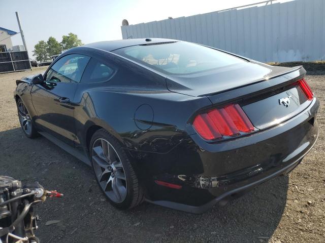 Photo 1 VIN: 1FA6P8TH9G5263886 - FORD MUSTANG 