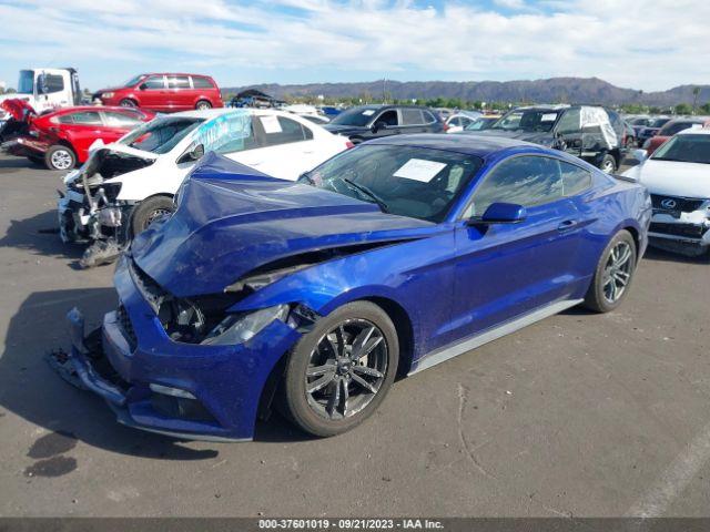 Photo 1 VIN: 1FA6P8TH9G5268859 - FORD MUSTANG 