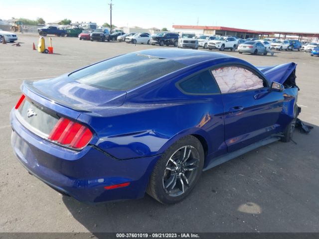 Photo 3 VIN: 1FA6P8TH9G5268859 - FORD MUSTANG 