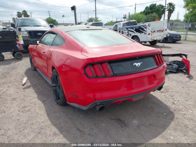 Photo 2 VIN: 1FA6P8TH9G5290165 - FORD MUSTANG 