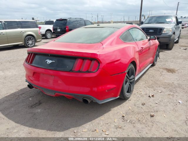 Photo 3 VIN: 1FA6P8TH9G5290165 - FORD MUSTANG 