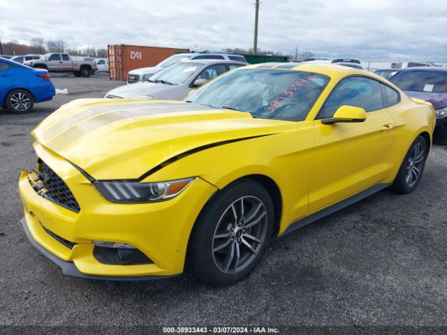 Photo 1 VIN: 1FA6P8TH9G5312360 - FORD MUSTANG 