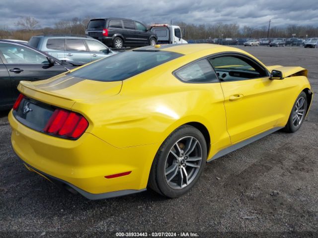 Photo 3 VIN: 1FA6P8TH9G5312360 - FORD MUSTANG 