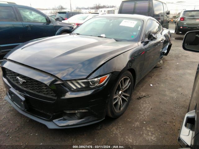 Photo 1 VIN: 1FA6P8TH9H5214897 - FORD MUSTANG 