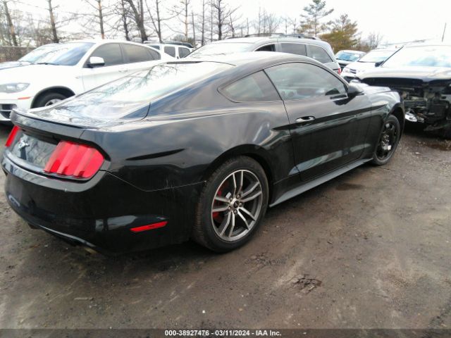 Photo 3 VIN: 1FA6P8TH9H5214897 - FORD MUSTANG 