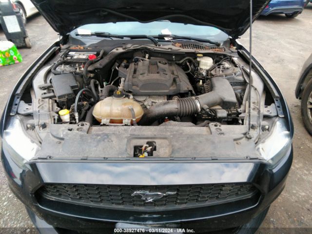 Photo 9 VIN: 1FA6P8TH9H5214897 - FORD MUSTANG 