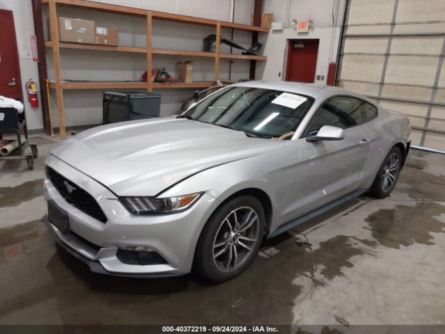 Photo 1 VIN: 1FA6P8TH9H5227021 - FORD MUSTANG 