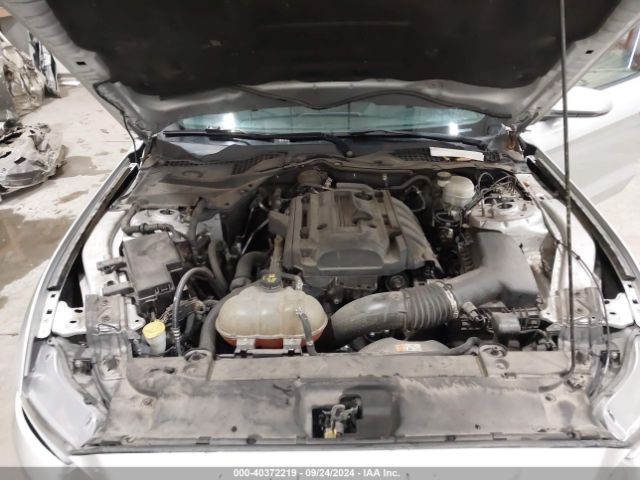 Photo 9 VIN: 1FA6P8TH9H5227021 - FORD MUSTANG 