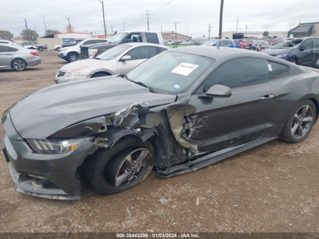 Photo 5 VIN: 1FA6P8TH9H5265378 - FORD MUSTANG 