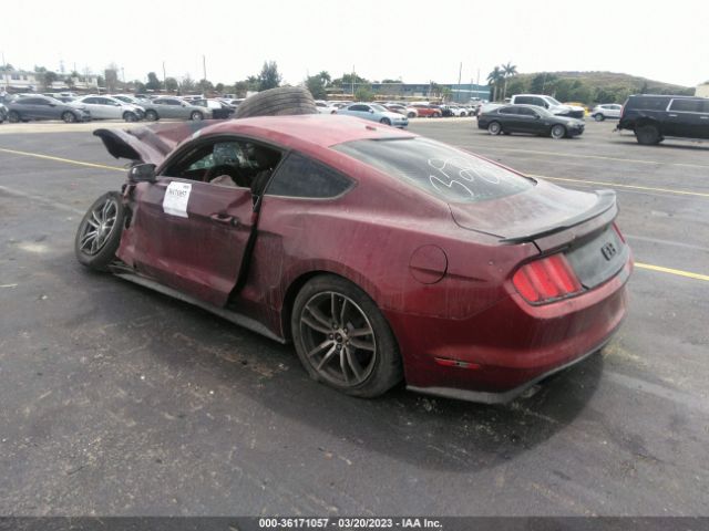 Photo 2 VIN: 1FA6P8TH9H5282732 - FORD MUSTANG 