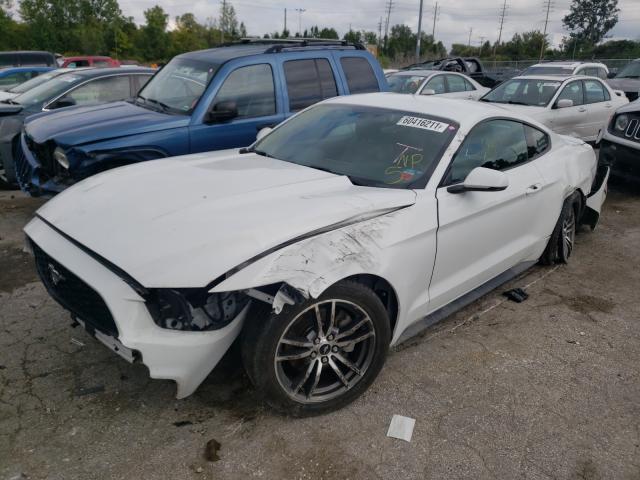 Photo 1 VIN: 1FA6P8TH9H5296128 - FORD MUSTANG 