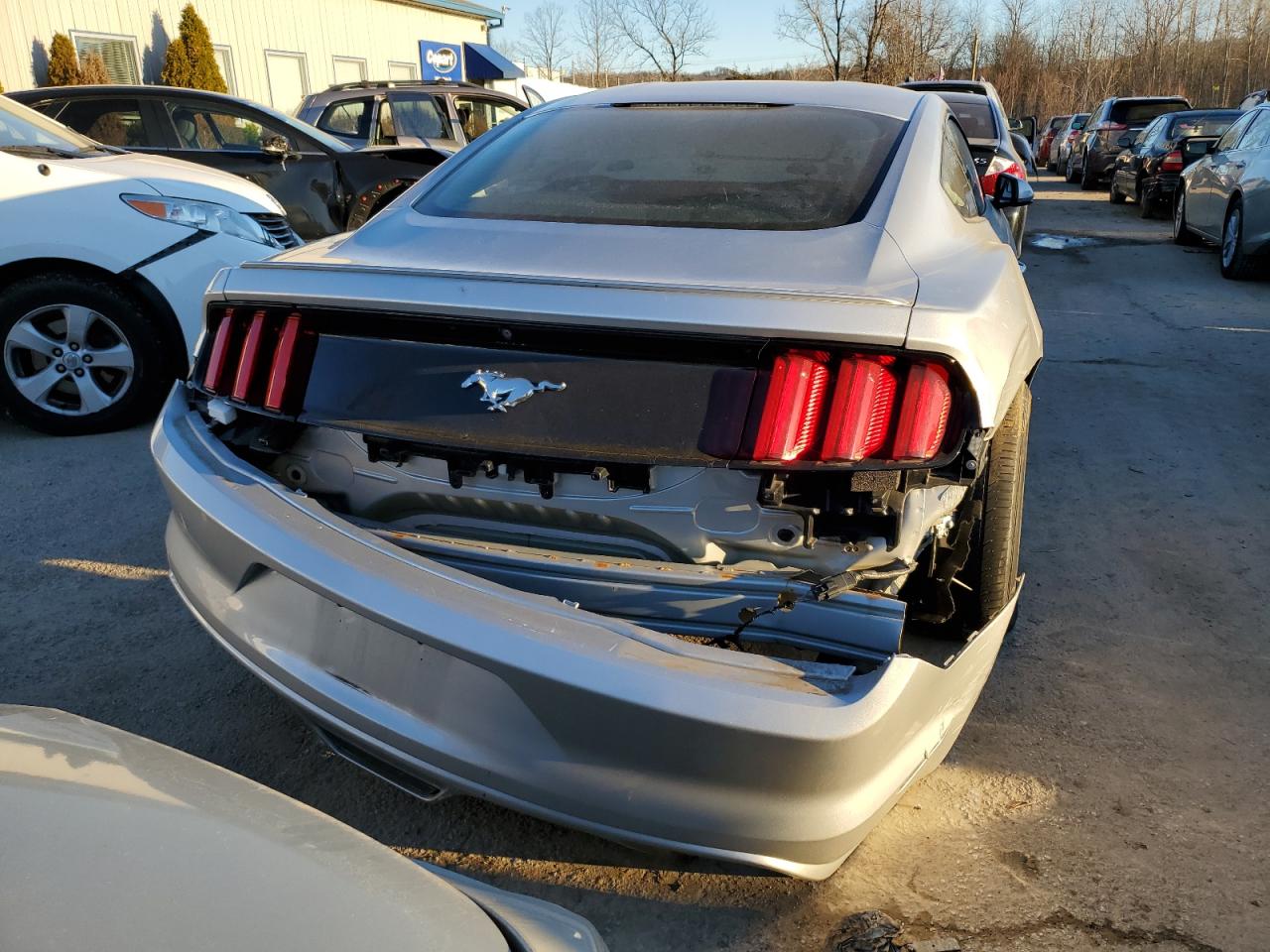 Photo 5 VIN: 1FA6P8TH9H5301960 - FORD MUSTANG 