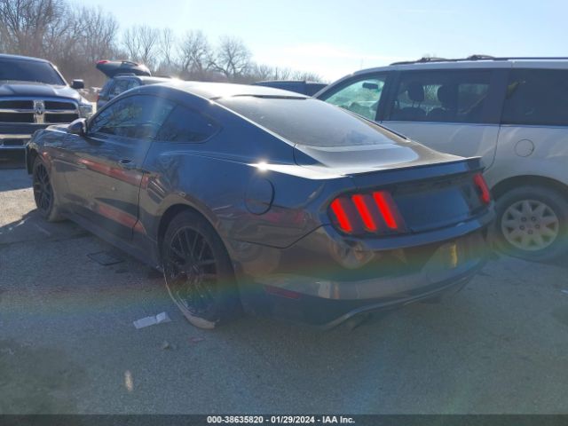 Photo 2 VIN: 1FA6P8TH9H5344470 - FORD MUSTANG 