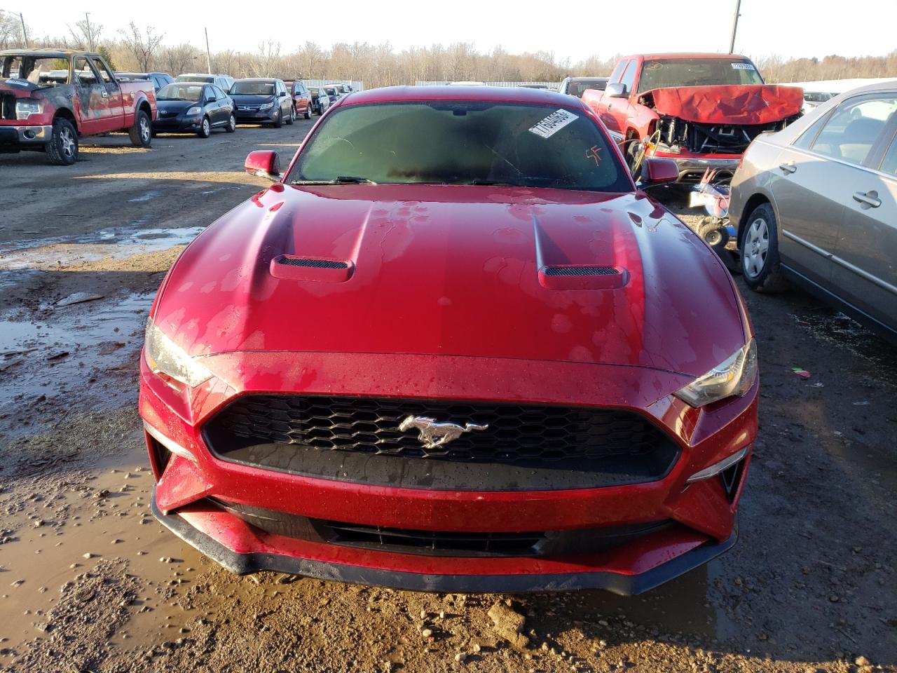 Photo 4 VIN: 1FA6P8TH9J5126390 - FORD MUSTANG 