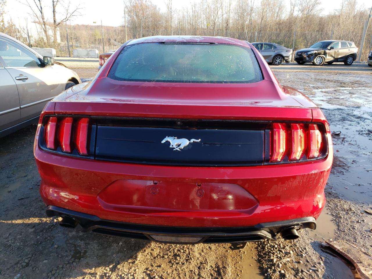 Photo 5 VIN: 1FA6P8TH9J5126390 - FORD MUSTANG 