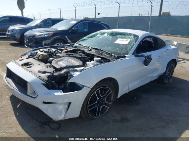 Photo 1 VIN: 1FA6P8TH9J5176710 - FORD MUSTANG 