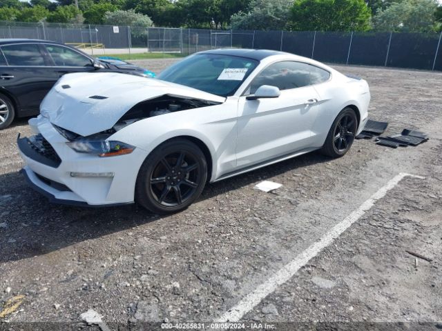 Photo 1 VIN: 1FA6P8TH9K5110207 - FORD MUSTANG 